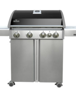 napoleon barbecue triumph T495SB